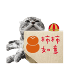猫のベンの日常生活3（個別スタンプ：9）