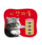 猫のベンの日常生活3（個別スタンプ：10）