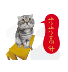 猫のベンの日常生活3（個別スタンプ：11）