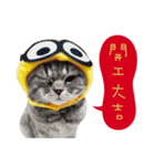 猫のベンの日常生活3（個別スタンプ：13）
