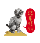 猫のベンの日常生活3（個別スタンプ：16）