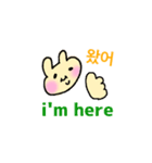 使える韓国語(英語)（個別スタンプ：14）