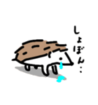 ハリネズミのチロルさん。（個別スタンプ：16）