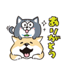 松犬×しばんばん（個別スタンプ：8）
