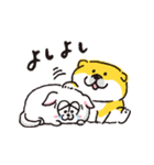 松犬×しばんばん（個別スタンプ：12）