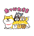 松犬×しばんばん（個別スタンプ：14）