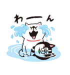 松犬×しばんばん（個別スタンプ：15）