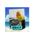 kawafamily12（個別スタンプ：2）