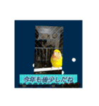 kawafamily12（個別スタンプ：3）