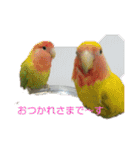 kawafamily12（個別スタンプ：5）