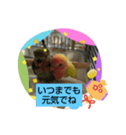 kawafamily12（個別スタンプ：6）