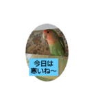kawafamily12（個別スタンプ：7）