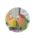 kawafamily12（個別スタンプ：8）