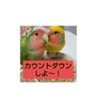kawafamily12（個別スタンプ：9）