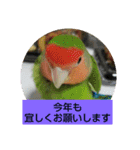 kawafamily12（個別スタンプ：12）