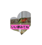 kawafamily12（個別スタンプ：13）