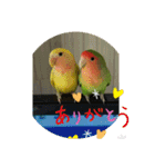 kawafamily12（個別スタンプ：16）