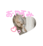 ふったとゆった（個別スタンプ：1）