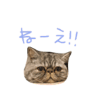ふったとゆった（個別スタンプ：3）