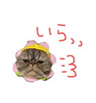 ふったとゆった（個別スタンプ：4）