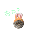 ふったとゆった（個別スタンプ：6）