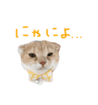 ふったとゆった（個別スタンプ：7）