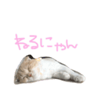 ふったとゆった（個別スタンプ：8）