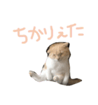 ふったとゆった（個別スタンプ：10）