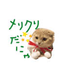 ふったとゆった（個別スタンプ：11）