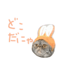 ふったとゆった（個別スタンプ：14）