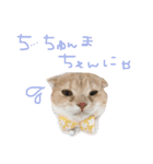 ふったとゆった（個別スタンプ：16）