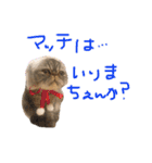 ふったとゆった（個別スタンプ：17）