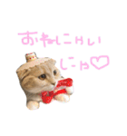 ふったとゆった（個別スタンプ：18）