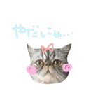 ふったとゆった（個別スタンプ：19）