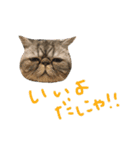 ふったとゆった（個別スタンプ：20）