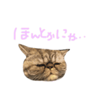 ふったとゆった（個別スタンプ：21）