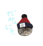 ふったとゆった（個別スタンプ：22）