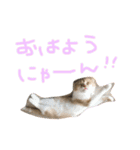 ふったとゆった（個別スタンプ：24）