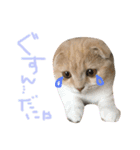 ふったとゆった（個別スタンプ：25）