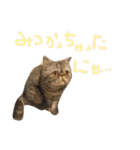 ふったとゆった（個別スタンプ：27）