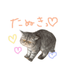 ふったとゆった（個別スタンプ：28）