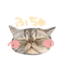 ふったとゆった（個別スタンプ：29）