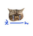 ふったとゆった（個別スタンプ：30）