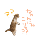 ふったとゆった（個別スタンプ：31）