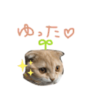 ふったとゆった（個別スタンプ：32）