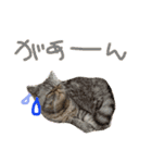 ふったとゆった（個別スタンプ：34）