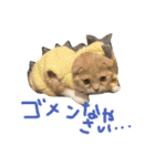 ふったとゆった（個別スタンプ：35）
