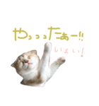 ふったとゆった（個別スタンプ：36）