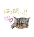 ふったとゆった（個別スタンプ：38）