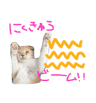ふったとゆった（個別スタンプ：40）